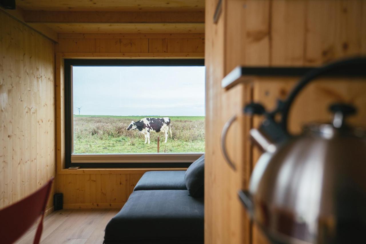 Tiny House Nature 13 Zur Kuhweide - Green Tiny Village Harlesiel كاروليننسيل المظهر الخارجي الصورة
