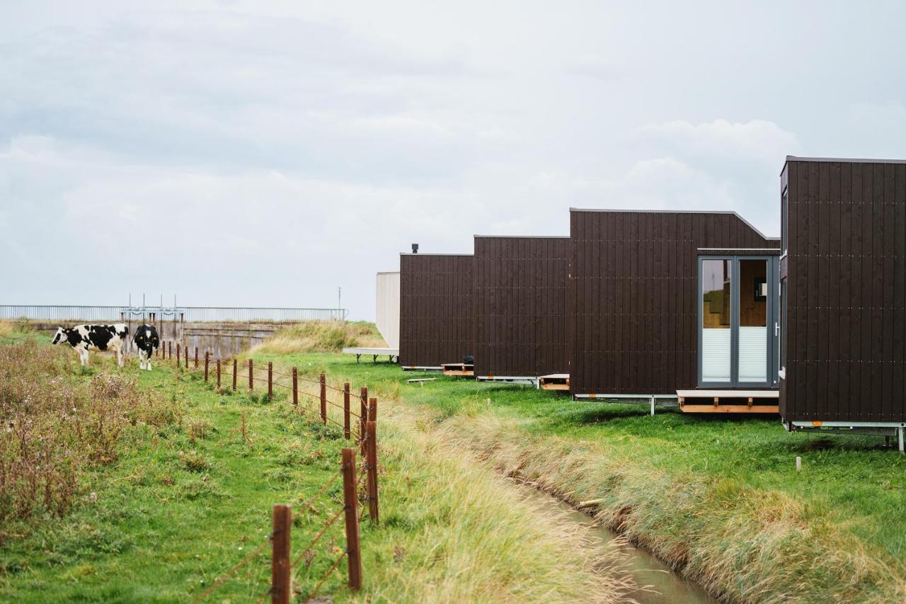 Tiny House Nature 13 Zur Kuhweide - Green Tiny Village Harlesiel كاروليننسيل المظهر الخارجي الصورة